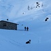 <b>Alpe Val d’Olgia (2063 m).<br />[u stellino] e il suo amico si concedono una sosta prima della salita al Pizzo Cavagnöö.</b>