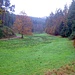 Herbstimpressionen in der Nähe der Dahner PWV-Hütte