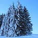 stimmungsvolles Winter-Touren - auch im Schatten 2