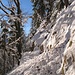 Im Wald sind einige Schneerutsche zu queren - sie stammen von den Schneefällen der letzten Tage, es ist also bei Neuschnee eine gewisse Vorsicht durchaus angeraten.