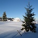 Im Bereich der Hofalm hat der Winter längst Einzug gehalten - so etwa einen halben Meter Neuschnee dürfte es hier haben, aber alle Wege sind momentan bestens gespurt.