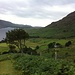 Natur Pur
