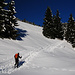 Spur zur Lacheralm