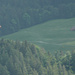 Der Alpsteinadler, praktisch auf jeder Tour mit dabei