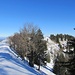 Auch retour geht es nicht nur runter, sondern schön auf und ab auf dem Schneeschuh-Highway.......