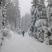 Oft gingen wir durch eine tief winterliche Landschaft
