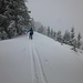 Am Spurkeil kann der Windeinfluss auf die Schneedecke abgeschätzt werden