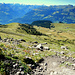 Blick hinunter auf das Hochplateau von Palfris. Am Horizont die firnüberzogenen Gipfel der Glarner Alpen.