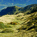 Der Weg über die Weiden der Schaner Alpe hinunter zur hoch über dem Rheintal auf einer Geländeschulter gelegenen Stofel Alpe zieht sich.