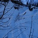 Aufstiegsspur Richtung Hindermenige (sehr wenig Schnee)