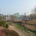 zurück im Jangchungdan Park