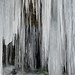 Eisskulpturen III auf dem Weg zur Wolfsgrueb