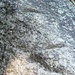 Via del naso: winzige Einschnitte auf flachem Gneis