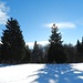 genussvolles Winterwandern 2