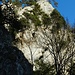 imposante Felsen und Baum-Formationen ...