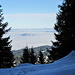 Blick von Ober Pfyfferswald auf die Nebeldecke