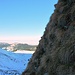 Nüneneflue Nordwestwand. So sieht eine fast senkrechte Wiese aus - Ein Schmankerl für die Botaniker unter den Alpinisten.