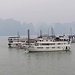 Ausflugsboote im Hafen von Halong City