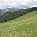 Über diesen üppig grünen Wiesenhang steigt man zum Vorderen Felderkopf an; im Hintergrund Friederspitz (links, 2049m), Frieder (rechts, 2050m) und Kreuzspitze (2184m, noch wolkenverhangen). Ganz rechts oben im Vordergund der Windstierlkopf (1824m).