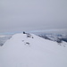 La nevosa (almeno questa!) cima maggiore del Bärenhorn