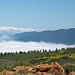 Passatwolken über dem Norden von Teneriffa