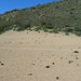 Die Cañada de los Guancheros - ein riesiger Sandkasten, in dem man die eigene Tochter schon leicht mal aus den Augen verliert.