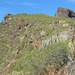 Der kleine Felskopf links ist El Paso; hier betritt man die Montaña de la Fortaleza
