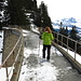 Die -- schneefreie -- Eisenbahnbrücke bei Unterstetten. Knirschparade "extra" mit den Schneeschuhen.