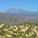 Auf der Tierras de Guergue (Höhe Era de la Cruz) mit Blick zum Pico Viejo und Teide; hier kann sich der Nachwuchs wieder seilfrei vergnügen.