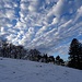 aus dem Strittwald heraustretend, nahe P. 1024, erfreuen wir uns des malerischen Wolkenhimmels