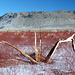 Rot-weisse Ebene vor Vulkan-Krater