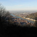 Vom Rindenhäuschen hat man einen schönen Blick über Heidelberg