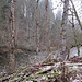 Zurück an der Wutach