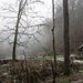 An der Schurhammerhütte ( 605m )