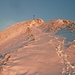 Der Rotwand-Gipfel im Morgenlicht.