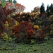 Herbstliche Farben auf dem Weg das Rossmatter Tal hinunter.
