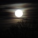 [http://f.hikr.org/files/1319535.jpg Schöne Stimmung] in der Vollmond-Nacht.

[http://f.hikr.org/files/1319535.jpg Bella atmosfera] nella notte con la luna piena.