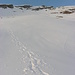 Abstiegshang des Pitzenegg. <br />Der Abstieg bei Schnee war mit Sicherheit bequemer als er ohne gewesen wäre.