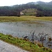 Piogge e allagamenti in località Piamuro