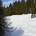 Im Sommer verläuft der Wanderweg durch den Wald (links ausserhalb des Bilds), im Winter bietet sich diese Lichtung genauso an. Die Schneeschuhspur verläuft allerdings links dem Wald folgend. In der Bildmitte sieht man die Abfahrtsspuren eines Skifahrers.