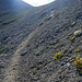Der Steig führt über Schutt hinauf zum Erlijoch (2.430m).