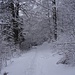 winterlich-schöner (wieder: monochromer) Abstieg vom Sennhaus ...