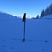 Schneemessung. Der Stock ist auf 135 cm eingestellt. Es liegen also gut 70 cm von der weissen Pracht. Bitterkalt war es hier in einer Art Kaltluftsee im Schatten der Güferlitzi