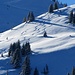 Skispuren am Wannenspitz