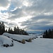auf Freudigenegg:
gefällig, stimmungsvoll, der Ausblick ins Berner Vor- und Oberland
