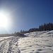 Stadelmannburstalpe - wir halten uns rechts und verlassen die breite Schneeschuhspur