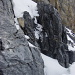 Die Situation an der Schwachstelle des Felsriegels: die Randkluft kann dank dem Schneebalkon (rechts unten im Bild) gut überwunden werden. Dann folgen kurz einige Kletterzüge, bevor man die zuerst 50 Grad steile Firnflanke hochsteigt.