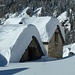 Tanta neve