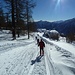 Sulla pista battuta dalle motoslitte
