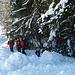 Gruppo in discesa